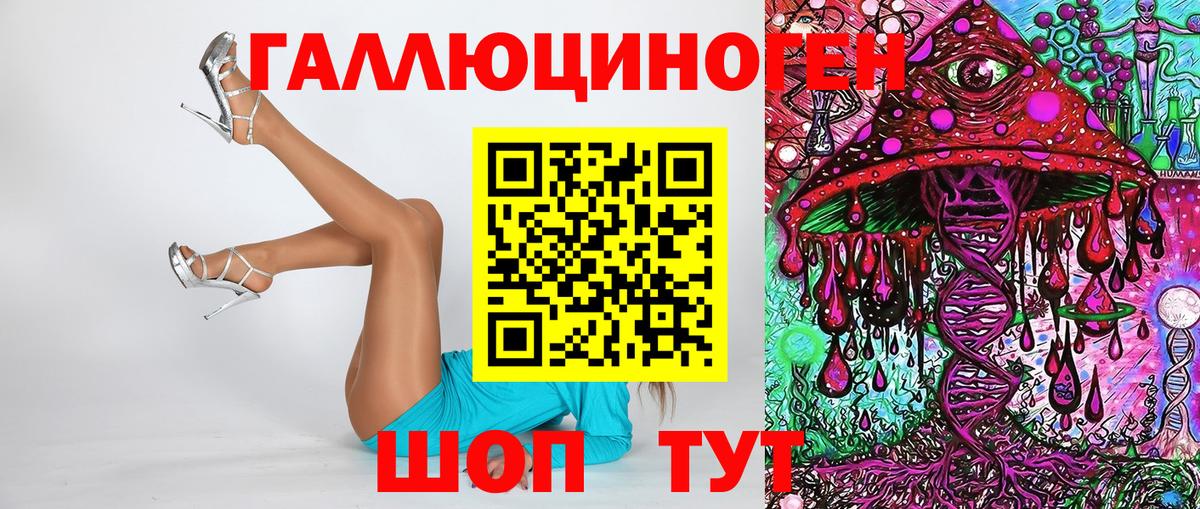 Гуково  Псилоцибиновые грибы Psilocybine cubensis  Вход с VPN 