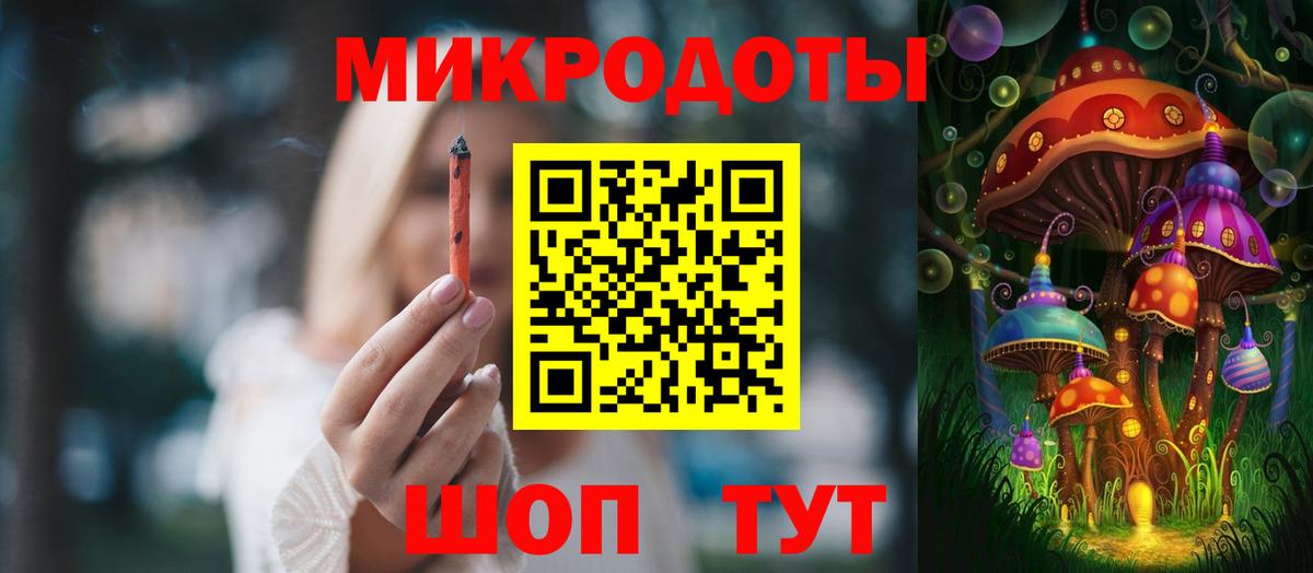 Псилоцибиновые грибы Psilocybine cubensis Гуково